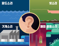 [라이프] 나에게만 들리는 삐 소리…그냥 뒀다가 청각 잃을 수도