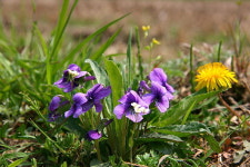 [라이프] 둘레길이 갖춰야 할 조건에 대하여 - 양평 물소리길 2코스