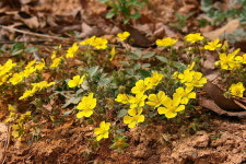 [라이프] 둘레길이 갖춰야 할 조건에 대하여 - 양평 물소리길 2코스