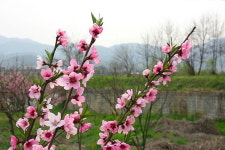 [라이프] 둘레길이 갖춰야 할 조건에 대하여 - 양평 물소리길 2코스