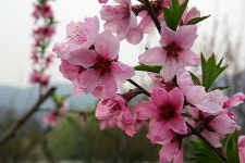 [라이프] 둘레길이 갖춰야 할 조건에 대하여 - 양평 물소리길 2코스