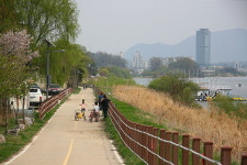 [라이프] 둘레길이 갖춰야 할 조건에 대하여 - 양평 물소리길 2코스