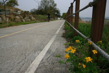 [라이프] 둘레길이 갖춰야 할 조건에 대하여 - 양평 물소리길 2코스