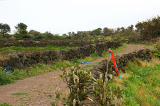 [라이프] 제주도의 삶과 문화를 배우다 - 제주올레길 21코스 ①