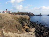 [라이프] 성산 일출봉에서 섭지코지를 가다 - 고성~신양 구간 산책로