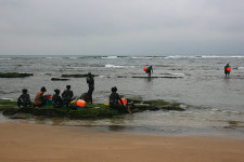 [라이프] 성산 일출봉에서 섭지코지를 가다 - 고성~신양 구간 산책로