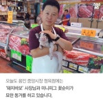 [스브스뉴스] 정육점에서 키우는 아기 돼지 꽃순이…숨은 사연은?