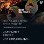 [스브스뉴스] 난 꼼치 아니고 곰치야…내가 누구냐고?