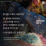 [스브스뉴스] 난 꼼치 아니고 곰치야…내가 누구냐고?