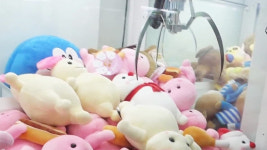 심야 인형뽑기방 23곳 돌며 지폐교환기 턴 10대들 검거