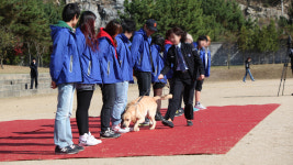 은퇴·훈련 탈락한 탐지견 12마리, 새 가족과 새 출발