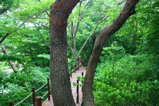 [라이프] ‘선비’를 다시 생각하다 - 함양 선비문화 탐방로 ①