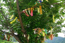 [라이프] ‘선비’를 다시 생각하다 - 함양 선비문화 탐방로 ①