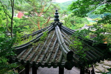 [라이프] ‘선비’를 다시 생각하다 - 함양 선비문화 탐방로 ①