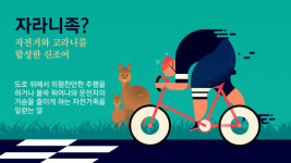 [리포트+] 신호위반부터 역주행까지…도로 위의 무법자 자라니족