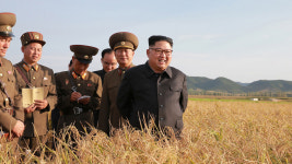 北 김정은, 이번엔 농장 시찰…추석 앞두고 민생 행보