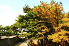 [라이프] 정조의 꿈, 조선의 꿈…수원화성 성곽길을 걷다 ①