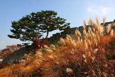 [라이프] 정조의 꿈, 조선의 꿈…수원화성 성곽길을 걷다 ①