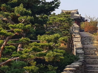 [라이프] 정조의 꿈, 조선의 꿈…수원화성 성곽길을 걷다 ②