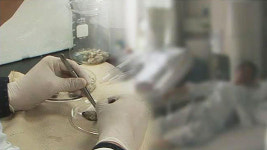 평창서 초등생 66명 구토·복통 증세…18명 노로바이러스 검출