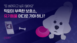 [리포트+] 또 버려지고 싶지 않아요…턱없이 부족한 보호소, 유기동물 어디로 가야 하나?