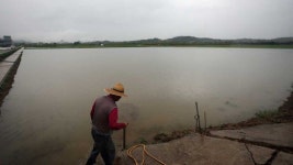 남부지방 190.5mm 장맛비…주택·도로 침수, 옹벽 붕괴