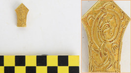 100년 만에 발굴 능산리 고분군서 금제 장식 출토