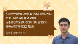 [리포트+] 가족이라면서요… 반려동물은 여름이 두렵다