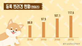 [리포트+] 가족이라면서요… 반려동물은 여름이 두렵다