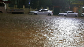 폭염 속 물난리 속초 265㎜·강릉 251㎜…강릉역 등 곳곳 침수