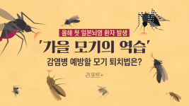 [리포트+] 올해 첫 일본뇌염 환자 발생…'가을 모기의 역습' 감염병 예방할 모기 퇴치법은?