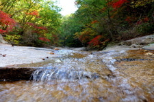 [라이프] 억새와 춤을?…명성산(鳴聲山)을 오르다 ①