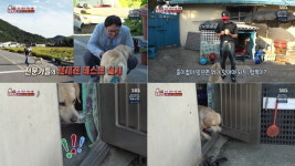 [영상pick] 대화가 가능한 개?…동물농장 역사상 역대급 천재견 등장
