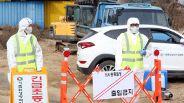 충주 노은면 한우농가서도 구제역 의심신고