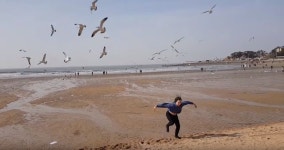 [스브스타] 해수욕장 한복판에서 갈매기 떼 휘어잡은(?) 개그우먼