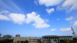 반가워, 푸른 하늘아…봄비에 미세먼지 씻긴 제주