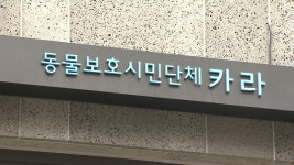동물권단체 카라, 가짜뉴스 유포자 9명 경찰 고소