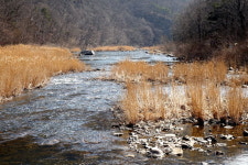 [라이프] 여행이란 무엇인가? - 백화산 둘레길 ②