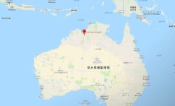 [Pick] 악어 떼 들끓는 뻘밭에 갇힌 커플이 탈출 위해 선택한 방법