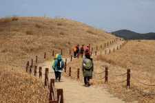 [라이프] 사막을 건너다 - 바라길, 신두리 사구 ①