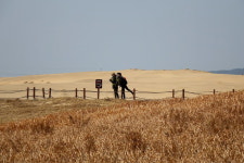 [라이프] 사막을 건너다 - 바라길, 신두리 사구 ①