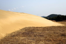 [라이프] 사막을 건너다 - 바라길, 신두리 사구 ①