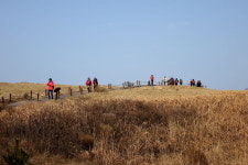 [라이프] 사막을 건너다 - 바라길, 신두리 사구 ①