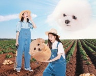 [스브스타] 다비치의 유쾌한 가족사진 화제 (feat.반려견 휴지·감자)