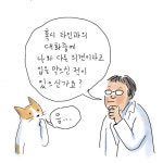 [D툰] SDF2019 x 오영은 작가 / 고양이와 수다 1화