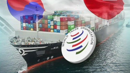 한일 WTO 양자협의 추가 진행키로…일정은 추후 협의