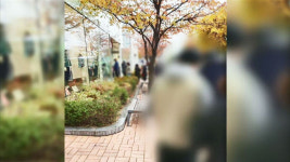 유니클로 공짜 내복 매진…서경덕 자존심은 지켰으면