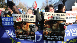 개도 가축 축산법 시행령에 청와대 앞 개고기 찬반 집회