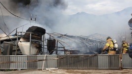 경남 거창 축사서 불…돼지 2천 마리 폐사