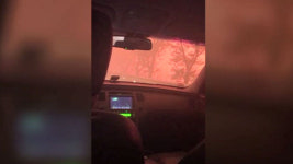 안동 산불, 강풍에 재확산…축구장 120개 크기 태웠다